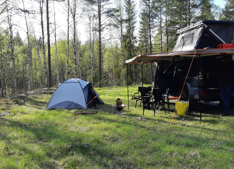 wildkamperen Zweden